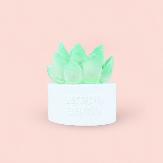 Succulent Essential Oil Diffuser