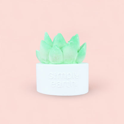Succulent Essential Oil Diffuser