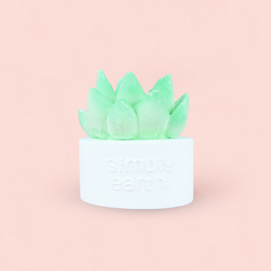 Succulent Essential Oil Diffuser