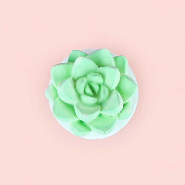 Succulent Essential Oil Diffuser