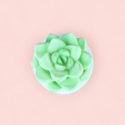Succulent Essential Oil Diffuser