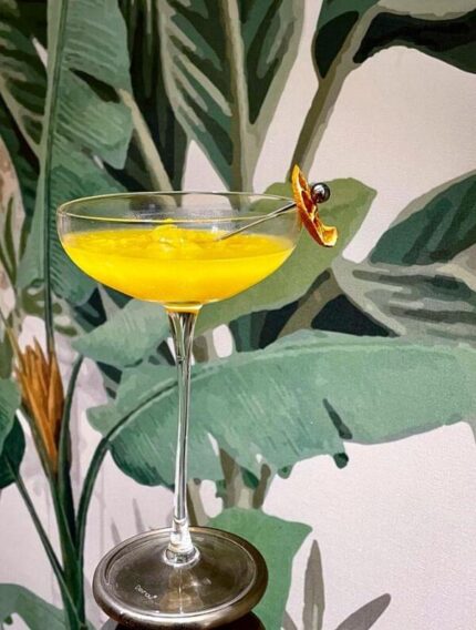 Devnow Champagne Saucer Tall Stem set of 4