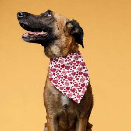 Dog Bandanas RED Heart