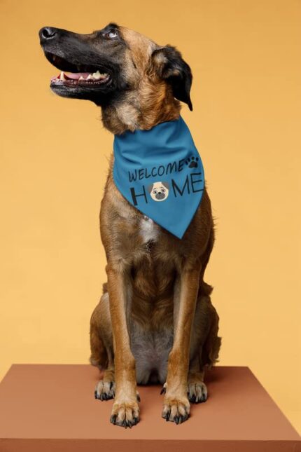 Welcome Home Dog Bandanas