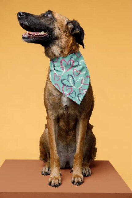 Colourful Hearts Large Dog Bandanas